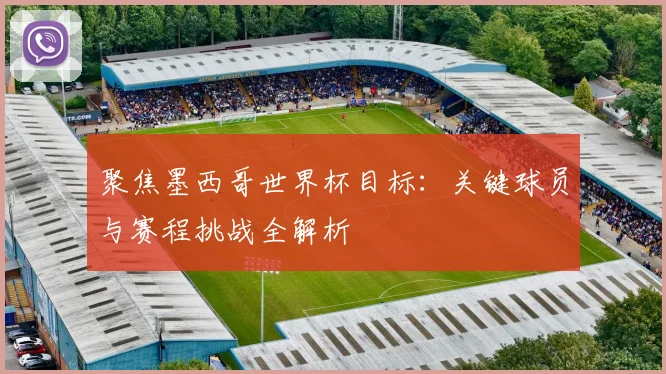 聚焦墨西哥世界杯目标：关键球员与赛程挑战全解析